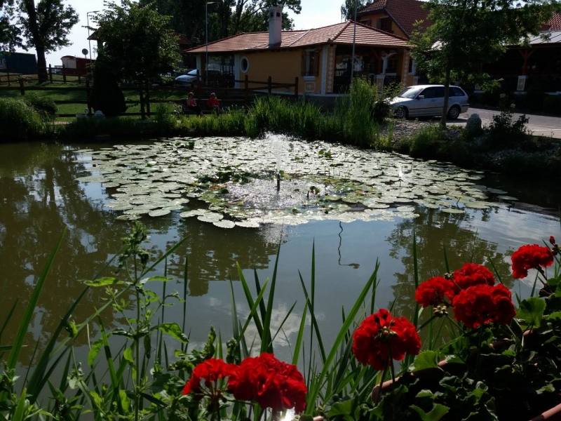 Posjet Balatonu 31.05.2018._26